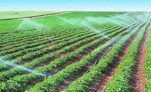 大鸡巴插小穴视频农田高 效节水灌溉